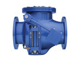 Check Valves